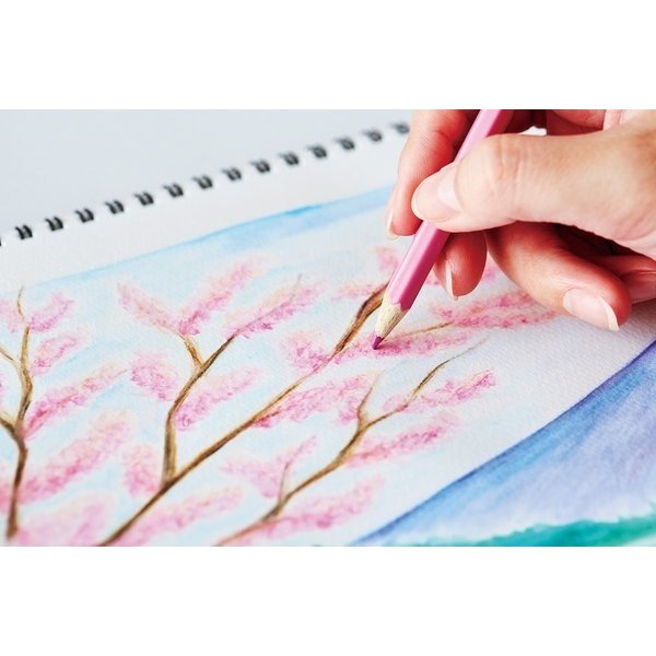 ファーバーカステル 【名入れ無料】 色鉛筆 60色セット 平缶 文房具