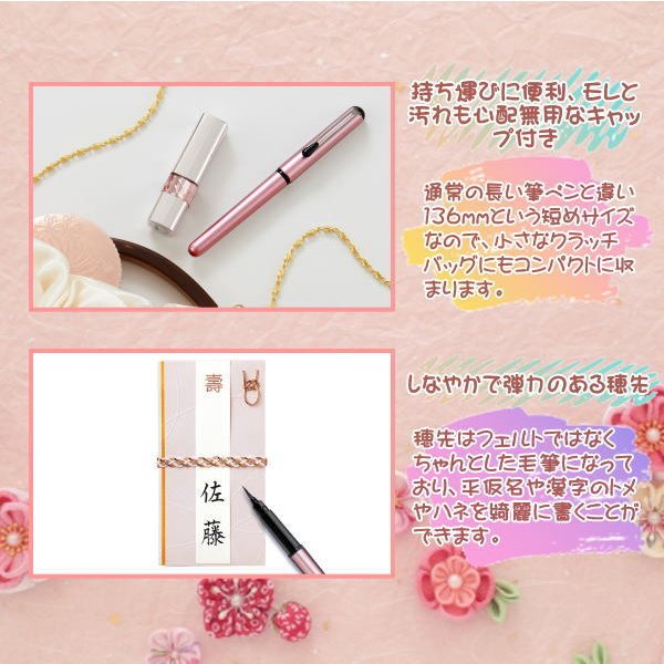ぺけぽん様用 Amazon.co.jp: Kay Company PM-FMC2-PP Flat Mini Pouch