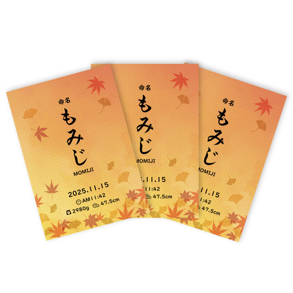命名書 選べるデザイン12種類 お七夜 命名 ハンドメイド 代筆 命名紙