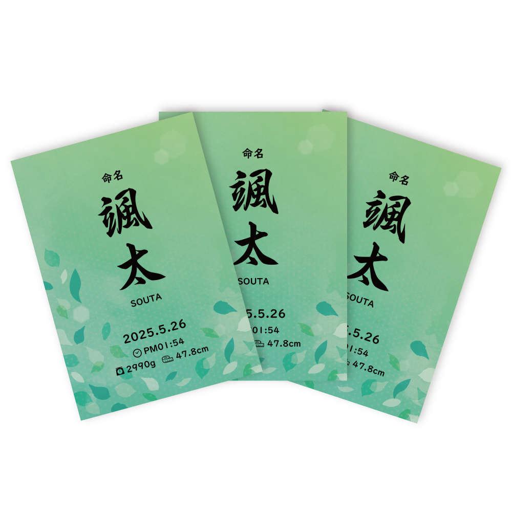 命名書 選べるデザイン12種類 お七夜 命名 ハンドメイド 代筆 命名紙