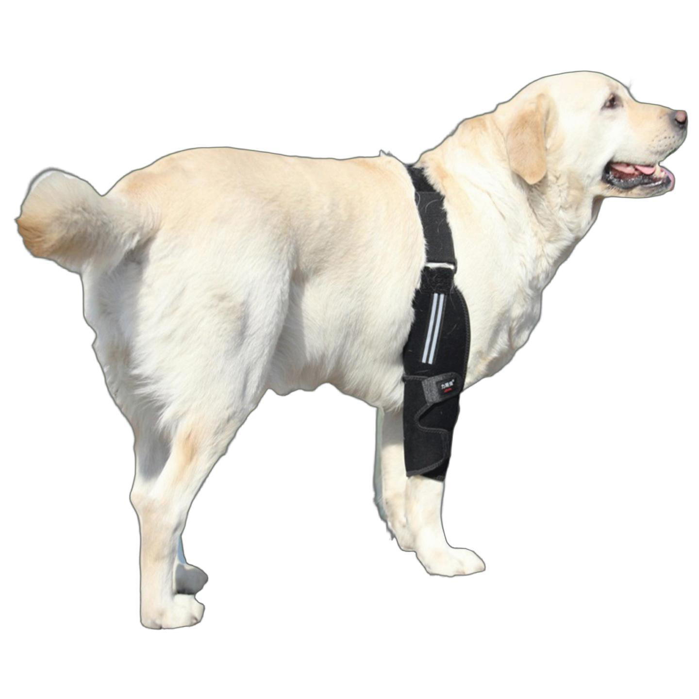 新商品 犬 肘サポーター 左前足用 右前足用 猫 小型犬 中型犬 大型犬