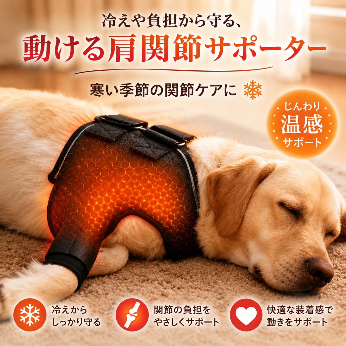 新商品 犬用 肩関節サポーター 温感サポート 4点サイズ調整 ずれにくい
