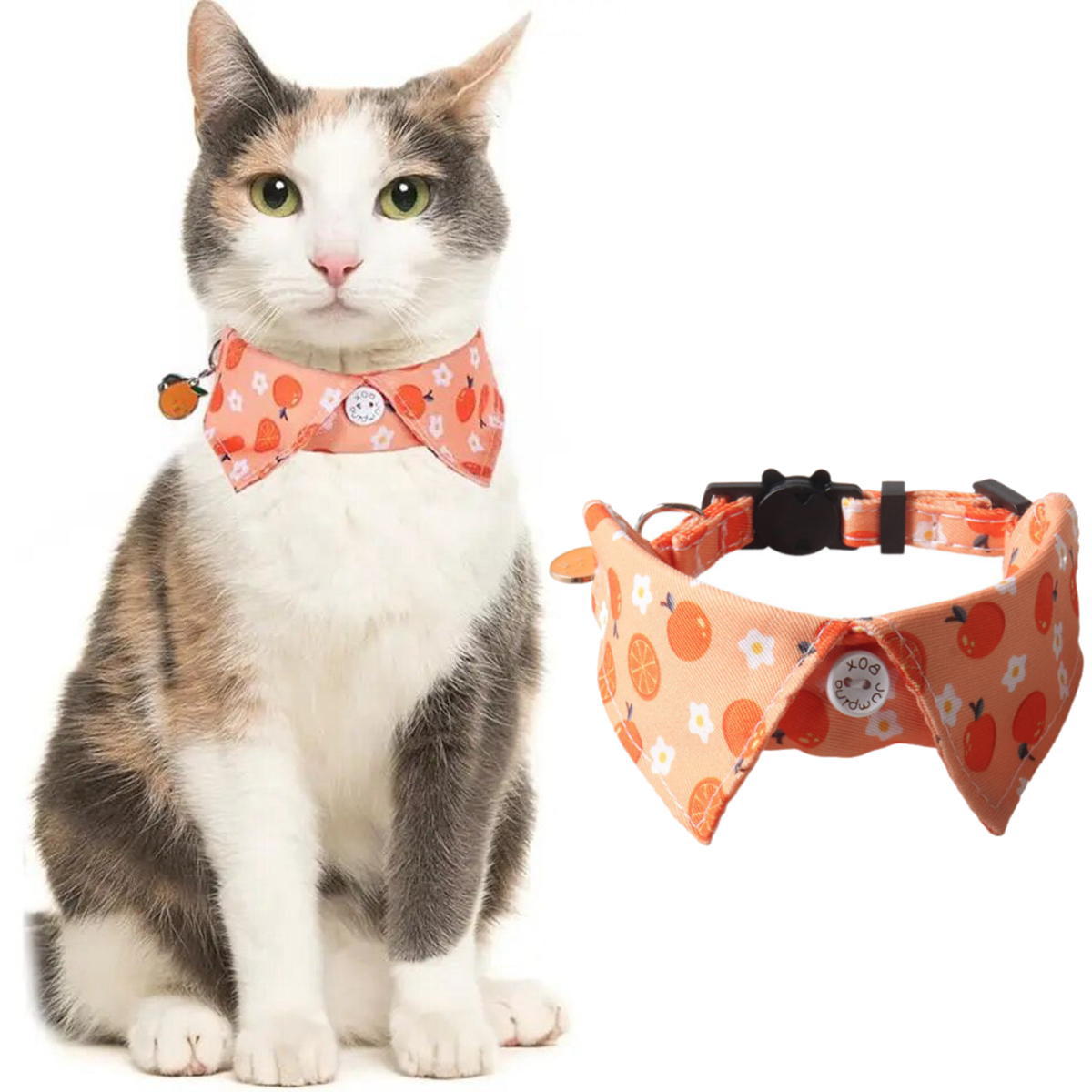 猫 首輪 襟付き デザインカラー 布製 セーフティバックル 取り外し可能