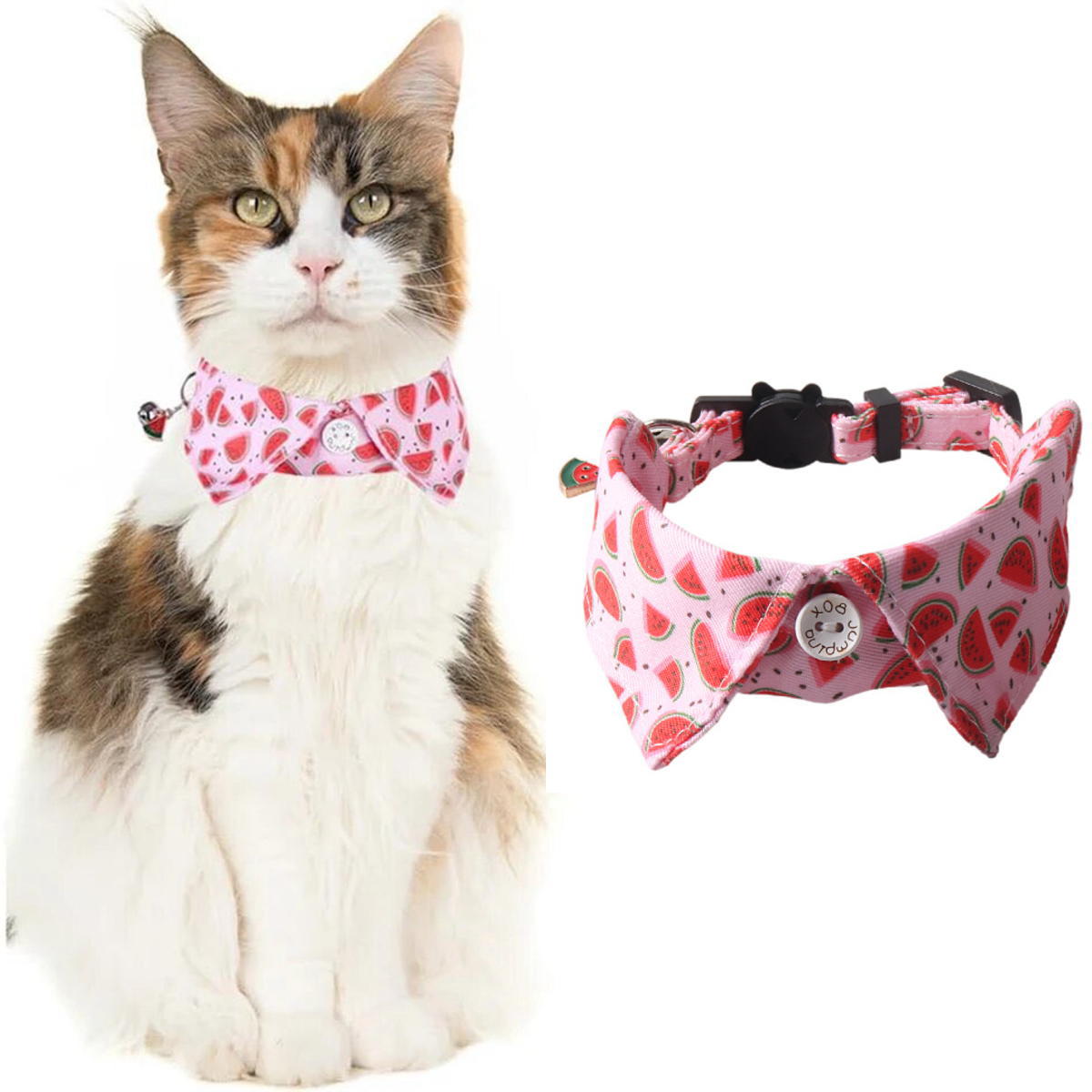 猫 首輪 襟付き デザインカラー 布製 セーフティバックル 取り外し可能