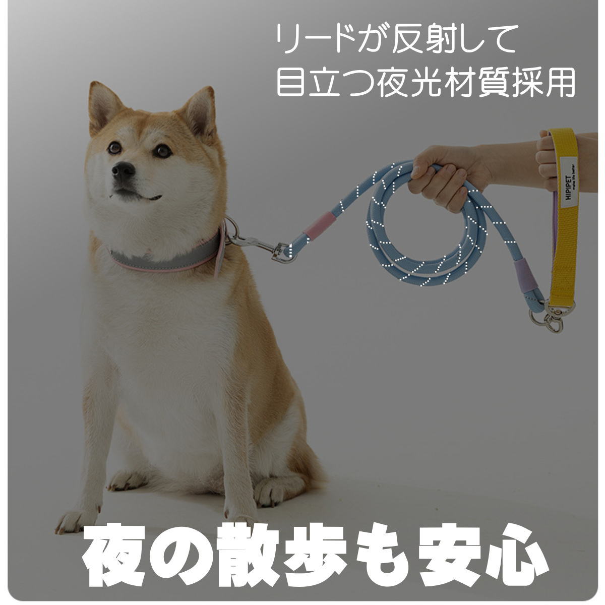 新商品 犬用 リード ダブルリード 二頭引き 多頭用 絡まない 丸ひも