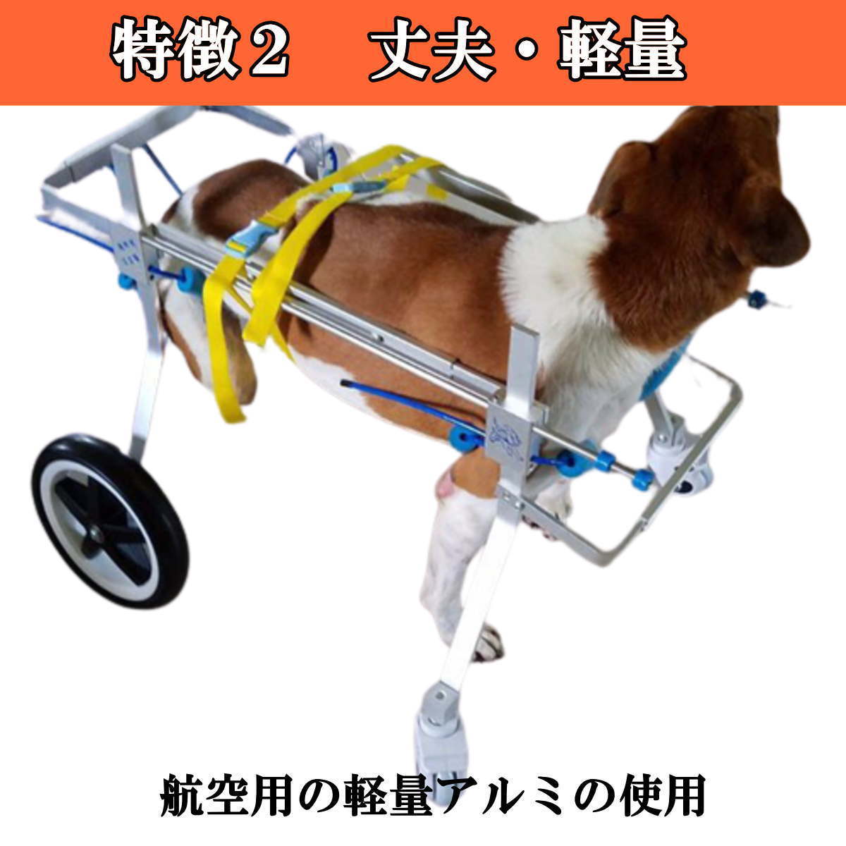 ペット用車椅子 4輪 猫 小型犬 全身サポート 歩行器 4輪 歩行補助