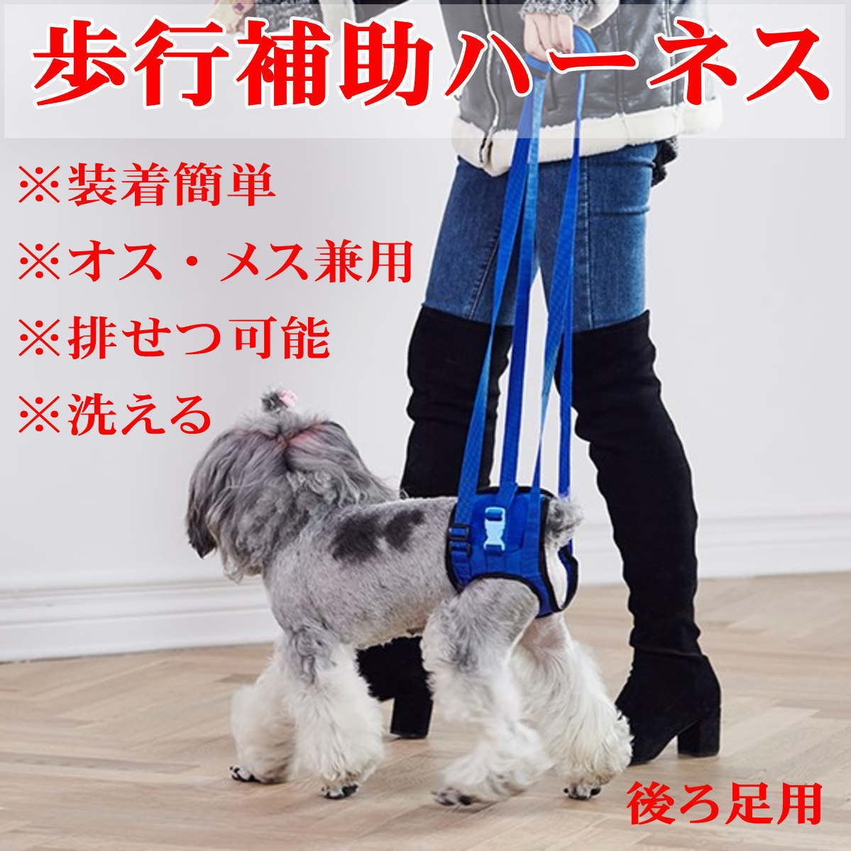 出色 犬 介護ハーネス 後足用 歩行補助 ハーネス 歩行サポート 布製 メッシュ 軽量 S Xxlサイズ 老犬介護 シニア 老犬 メール便送料無料 Whitesforracialequity Org