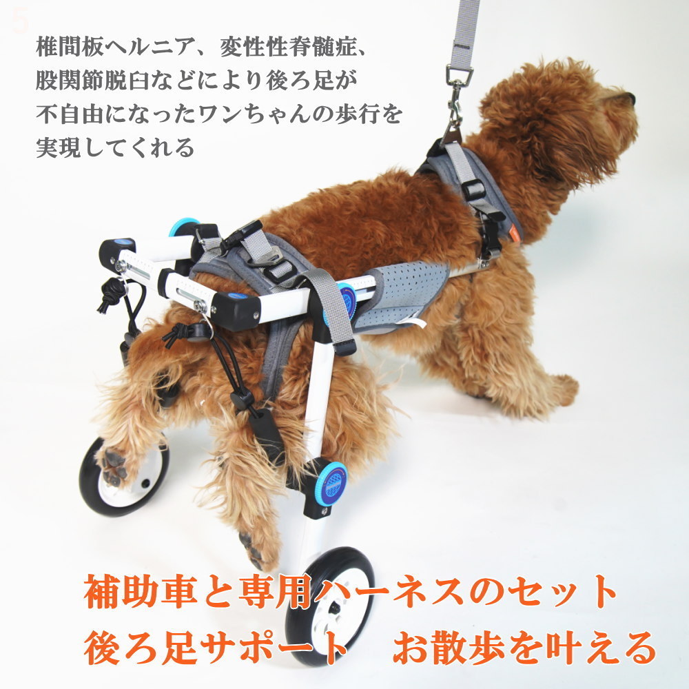 ペット車椅子 2輪 猫 超小型犬 後脚サポート 介護ハーネスセット 全身