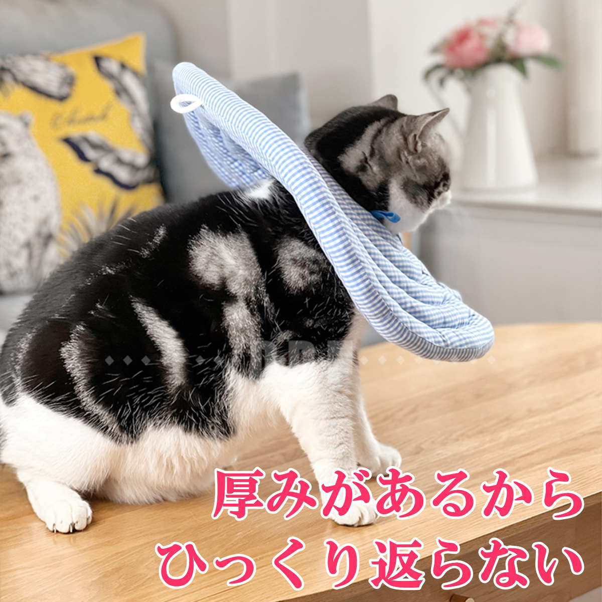 モモンガハウス(猫・ドーナツ柄)チェック赤   春(夏)仕様  1850円 函館 金森赤レンガ倉庫と3匹の子猫set【チアフル限定商品