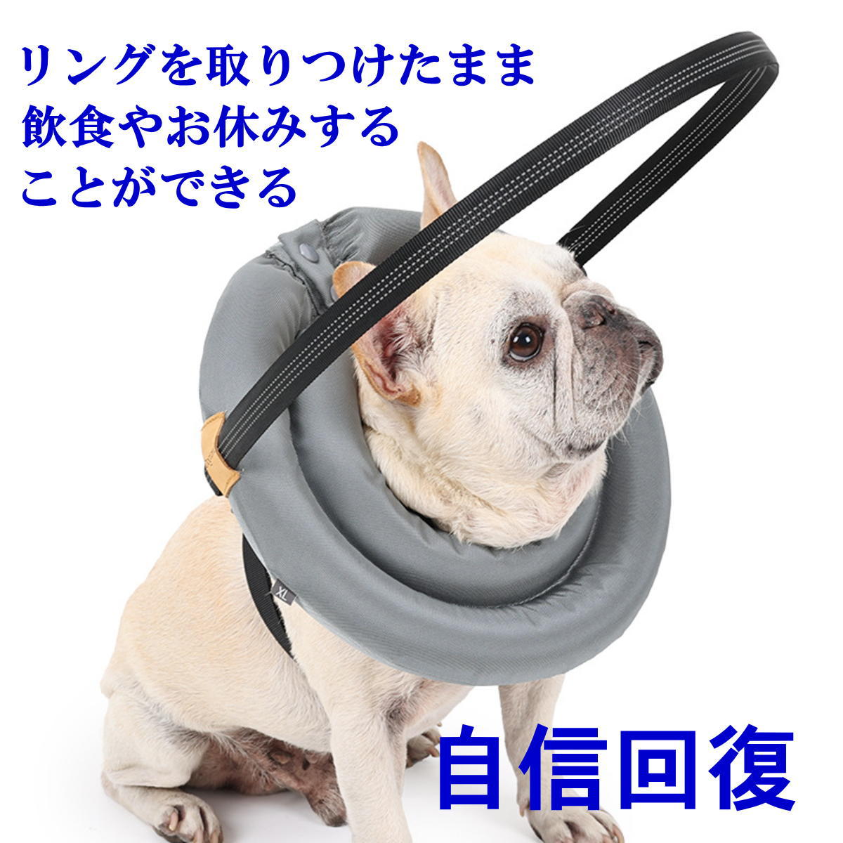 新商品 盲犬 盲目リング ペット用盲目リング フェイスガード セーフ