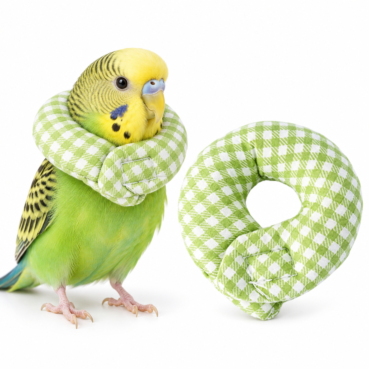 インコ エリザベスカラー 鳥用 小鳥 ソフト バードネックカラー 毛引き
