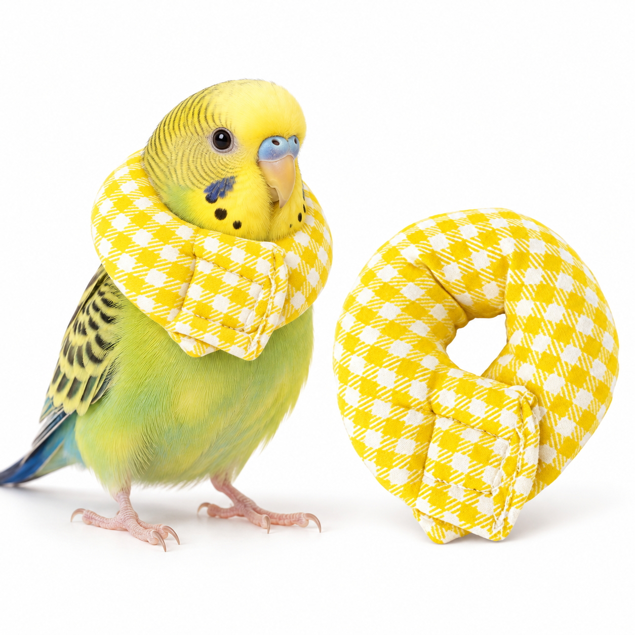 インコ エリザベスカラー 鳥用 小鳥 ソフト バードネックカラー 毛引き