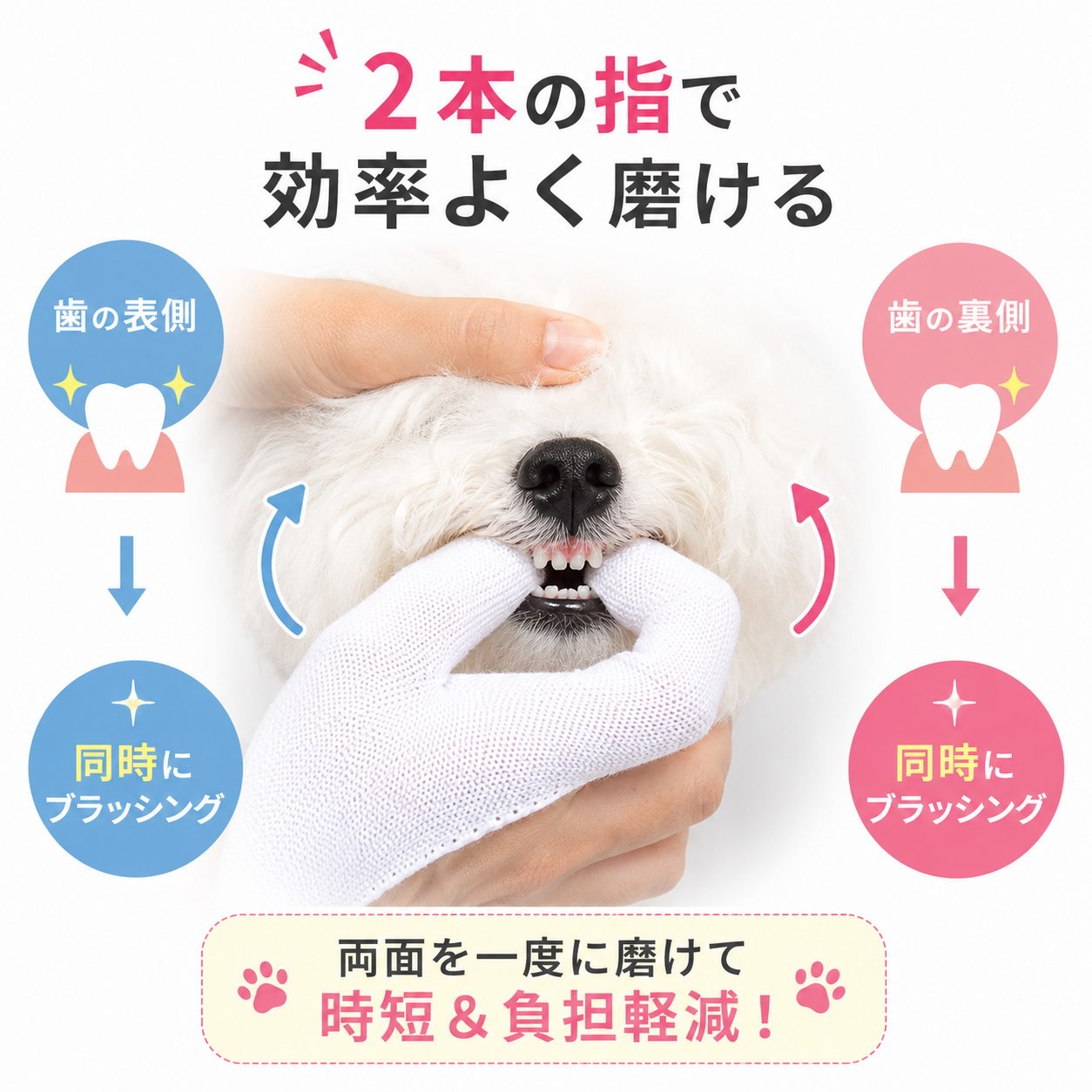 犬 歯ブラシ 指サック 2枚セット 犬猫兼用 ペット 歯磨き 指歯ブラシ