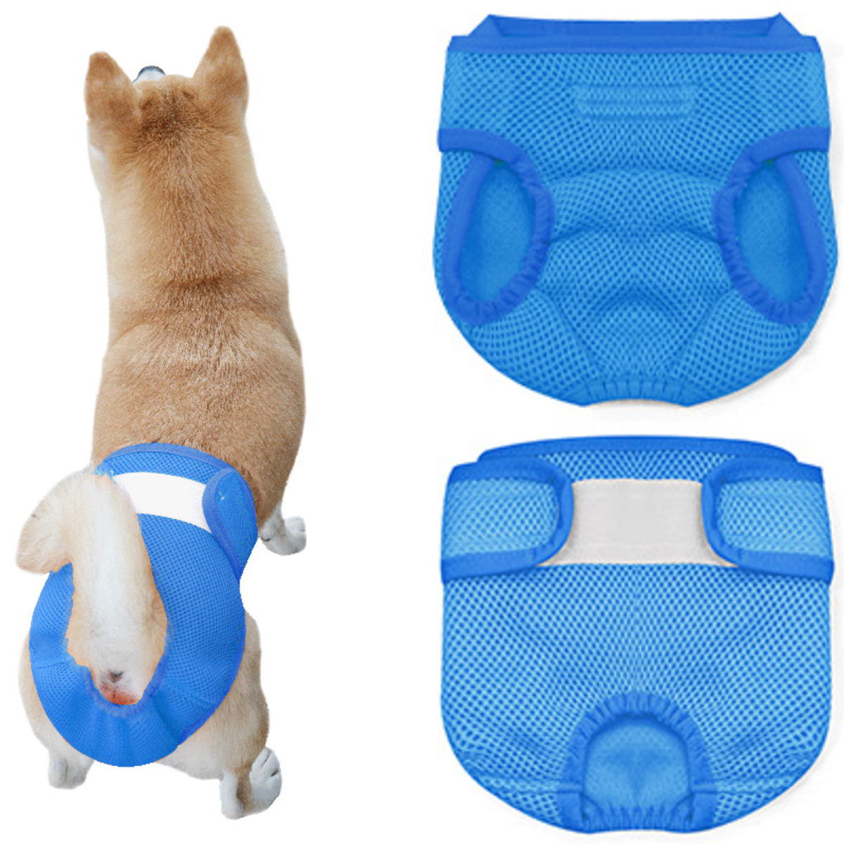 犬用マナーパンツ Sサイズ ブルー 新商品 マナーパンツ 犬 メス メッシュマナーパンツ カバー 女の子