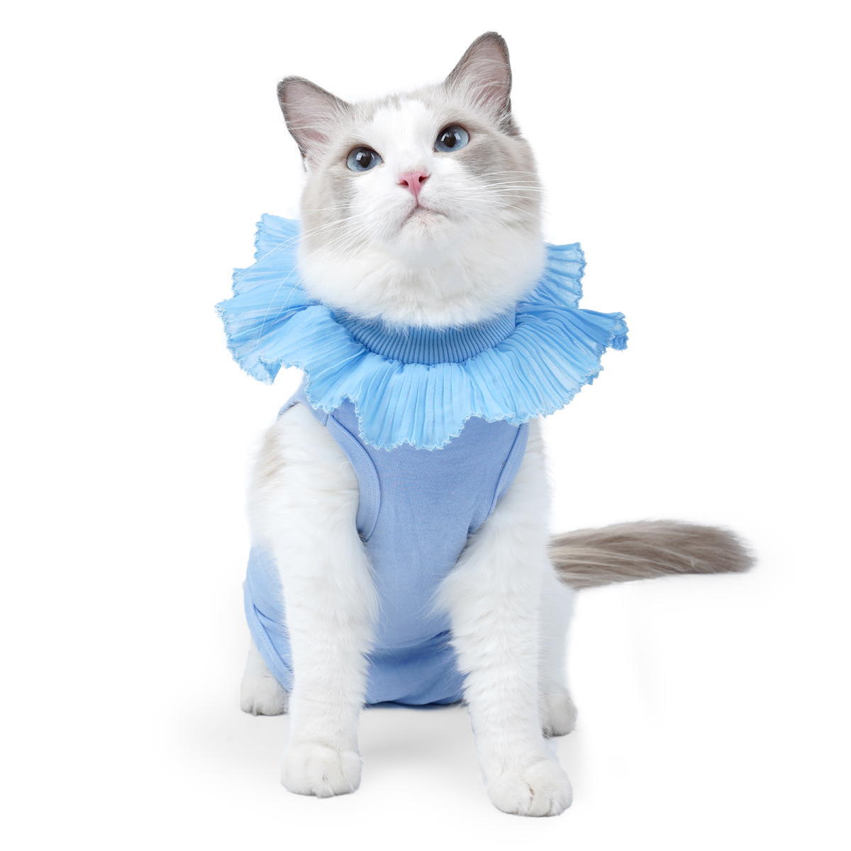 【ピンクの猫】3着まとめて購入 猫のぬいぐるみ ピンクベア S｜猫グッズ・猫雑貨のchoo choo本舗