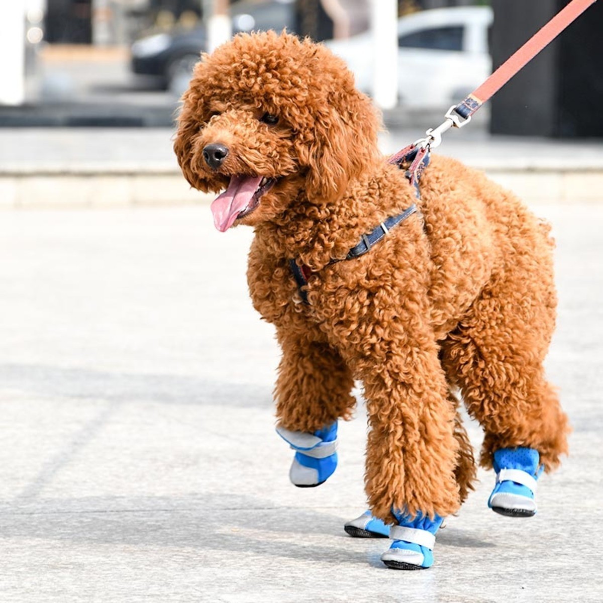 犬 靴 履かせやすい 柔らかい 軽い ソフト ライクラシューズ 軽量 通気