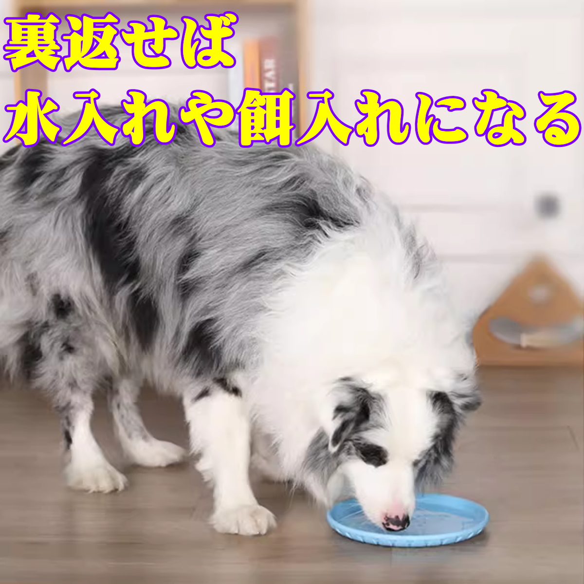 犬のおもちゃ　大型犬　ナーフドッグ　コング　デンタルティーザー　犬用フリスビー セール フリスビー 柔らかい 歯を保護する 犬 おもちゃ 投げるおもちゃ