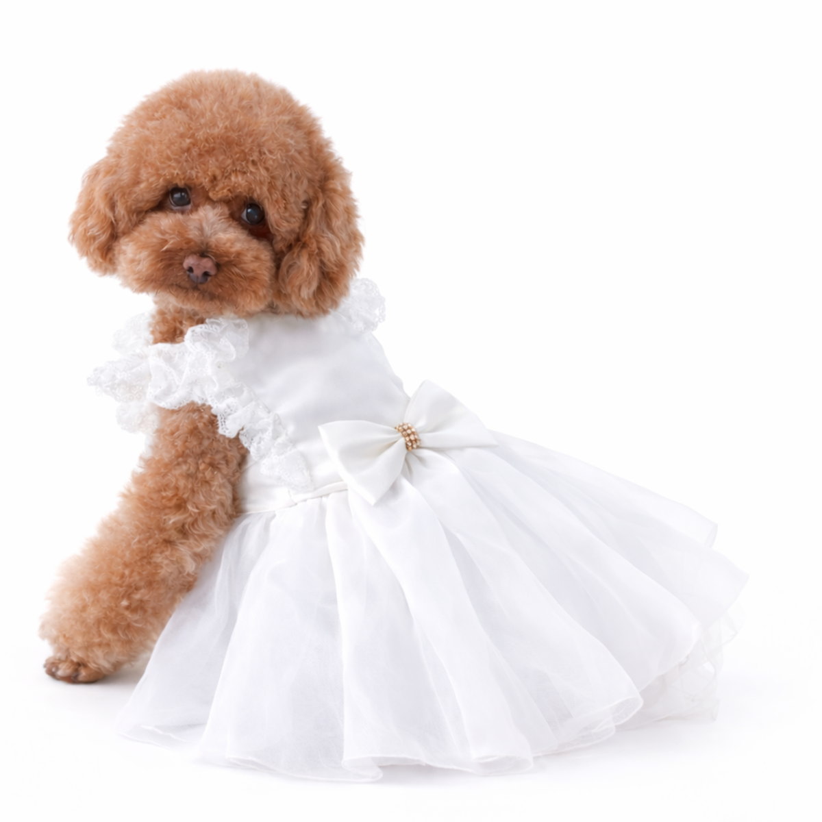 Trilly Japan犬服 チュチュドレス XXSサイズ 犬 ドレス 犬服 ワンピース 小型犬 フォーマル ペットドレス 結婚式