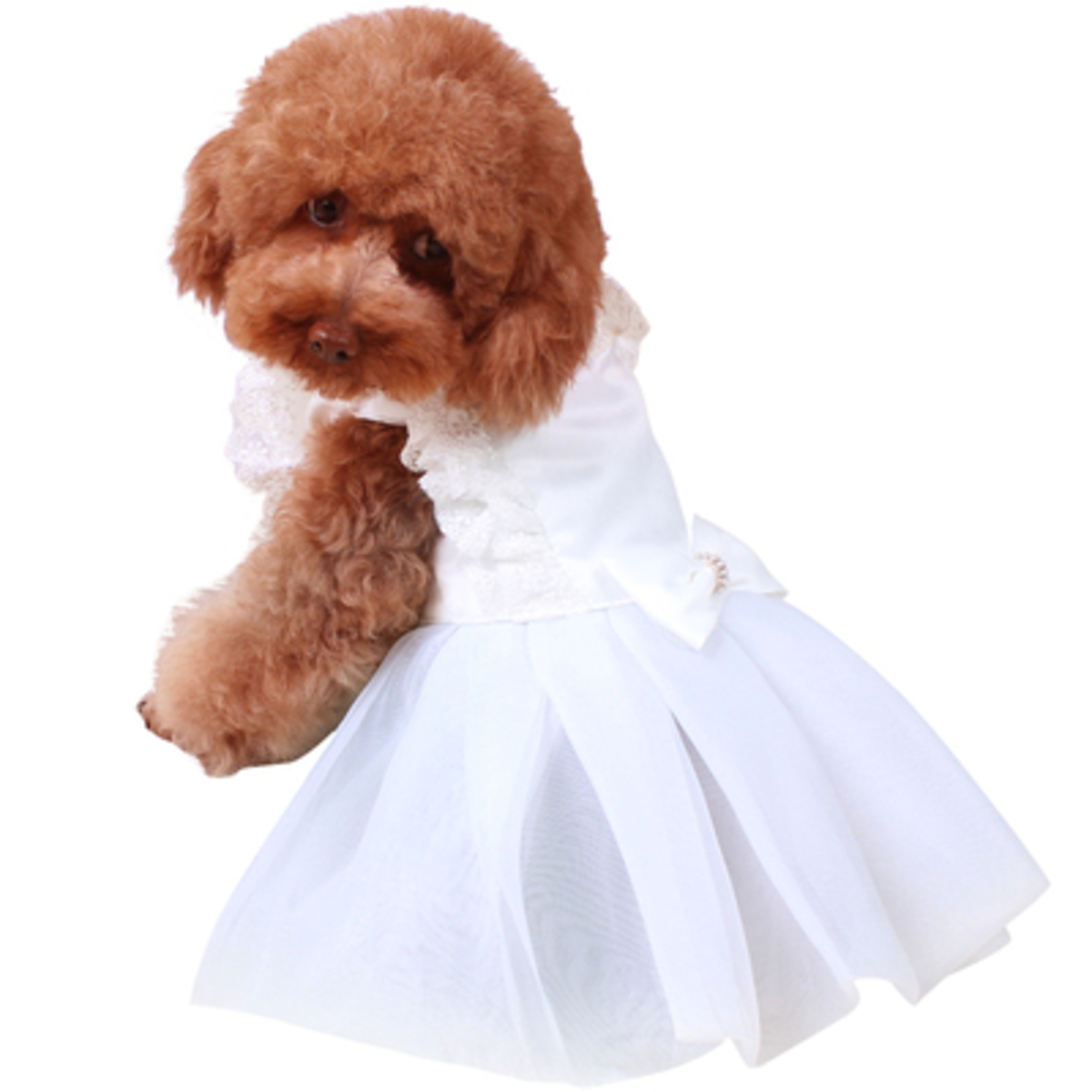 犬服ドレス 犬ドレス 誕生日会撮影 Mサイズ シンデレラ豪華Princessweddingdress 撮影用 記念 ふんわり