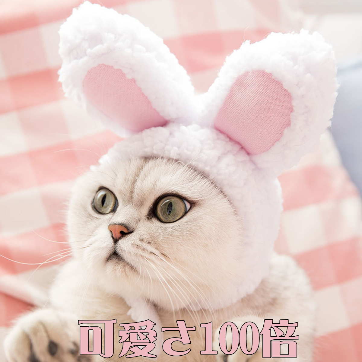 ペット帽子 うさぎ 兎 ウサギ 帽子 猫の帽子 超小型犬 小型犬 猫