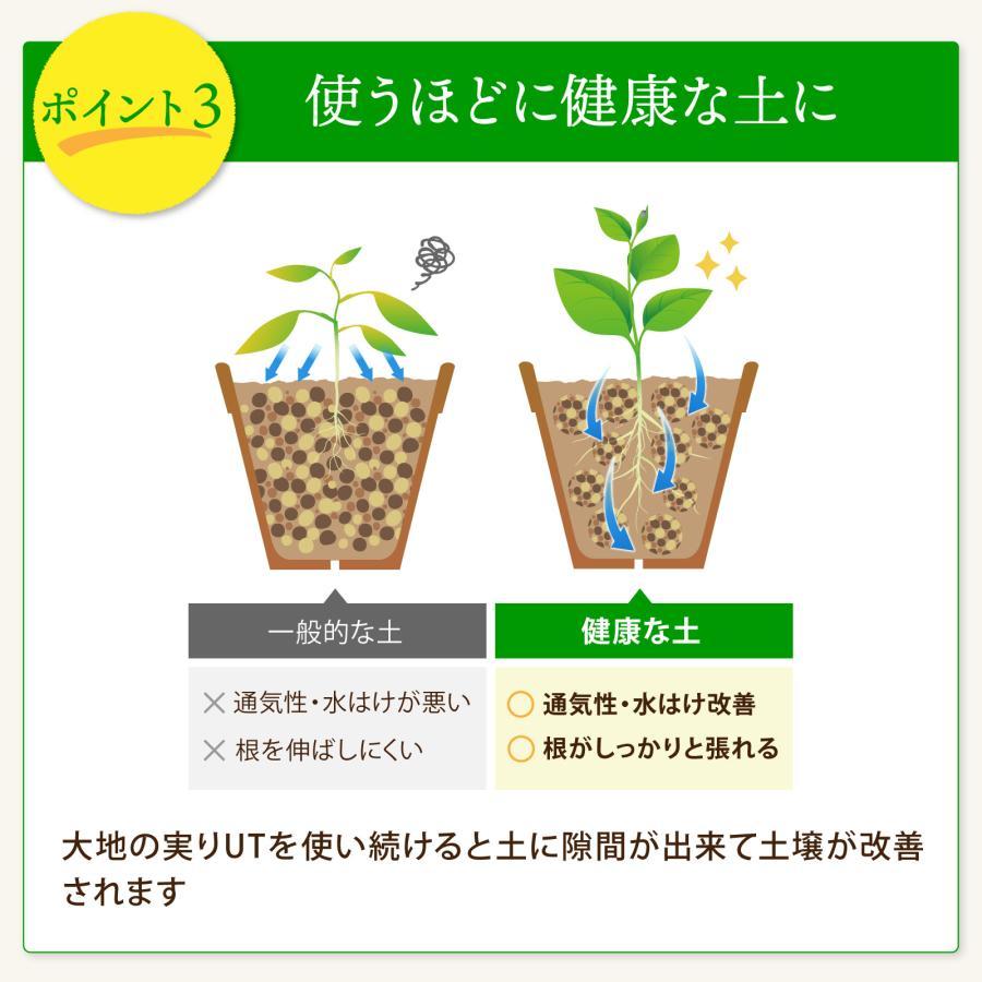 使い続けると土にすきまができて通気性と水はけが改善、根がしっかりとはれるようになります。