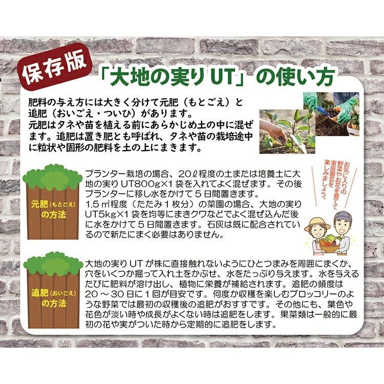 元肥と追肥に使えます。