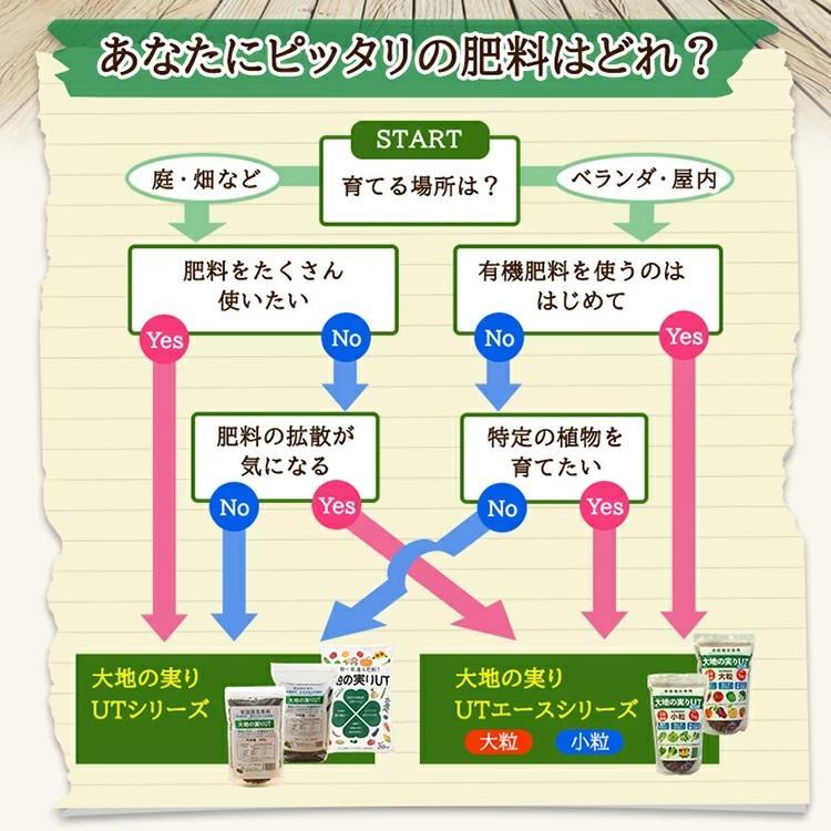 あなたにピッタリの肥料はどれ？