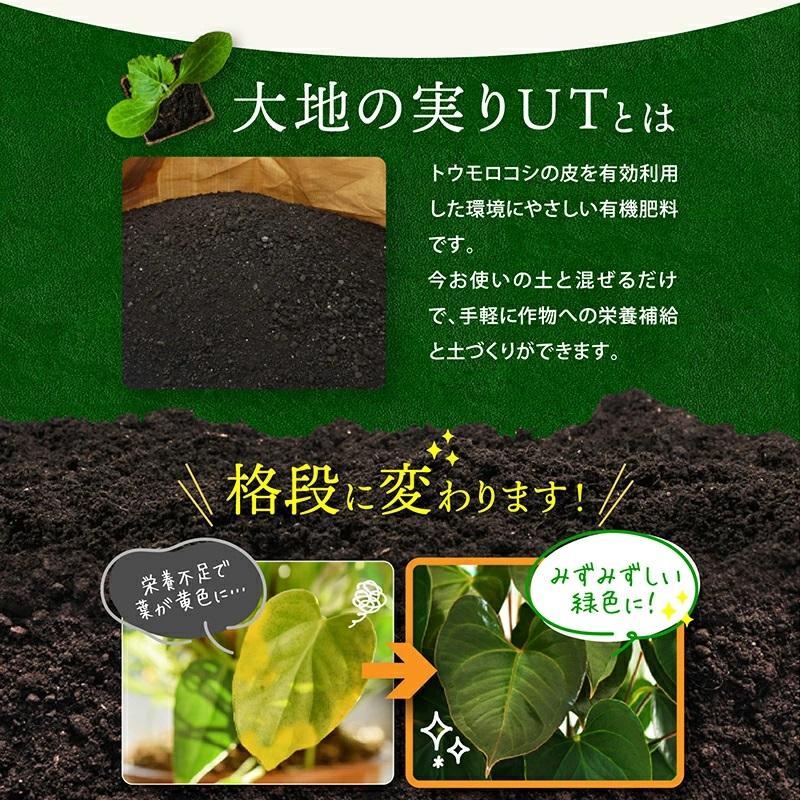 トウモロコシの皮を有効利用した環境にやさしい有機肥料です。今お使いの土と混ぜるだけで手軽に作物への栄養補給と土づくりができます。