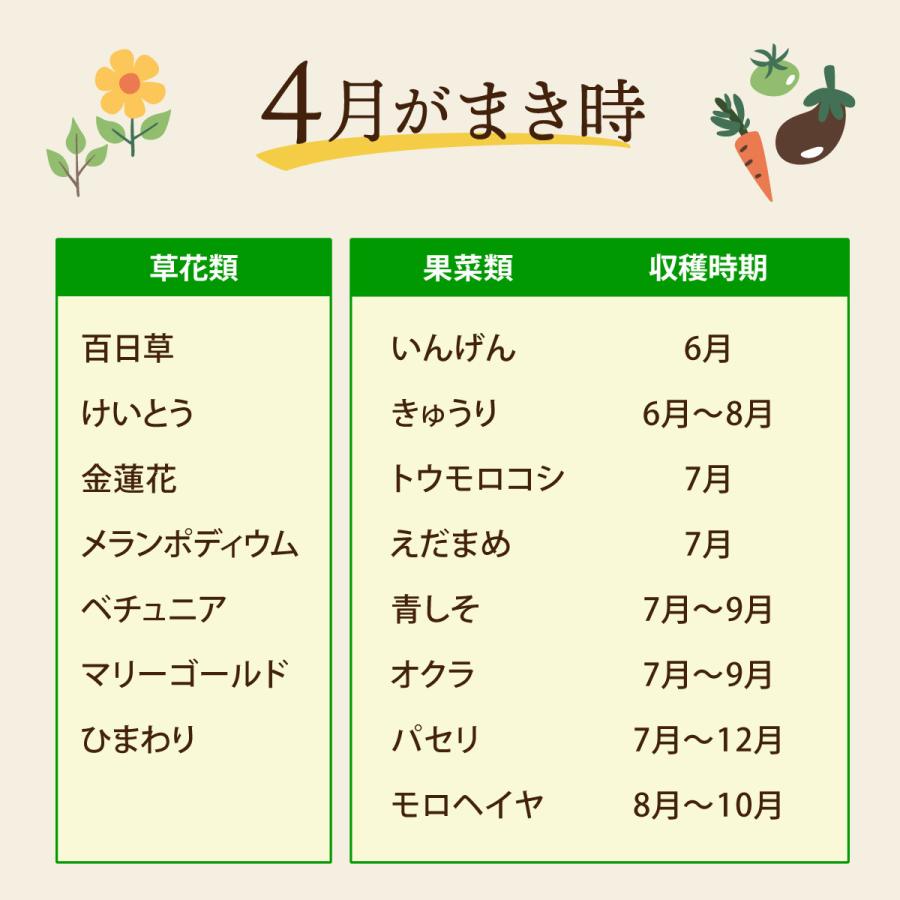 今月が撒き時の作物です