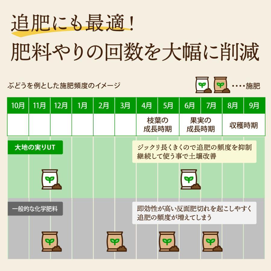 追肥にも最適！肥料やりの回数を大幅に削減。じっくり長く効くので追肥の頻度を抑制。継続して使うことで土壌改善。