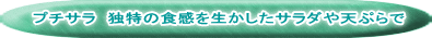 プチサラ 独特の食感を生かしたサラダや天ぷらで 