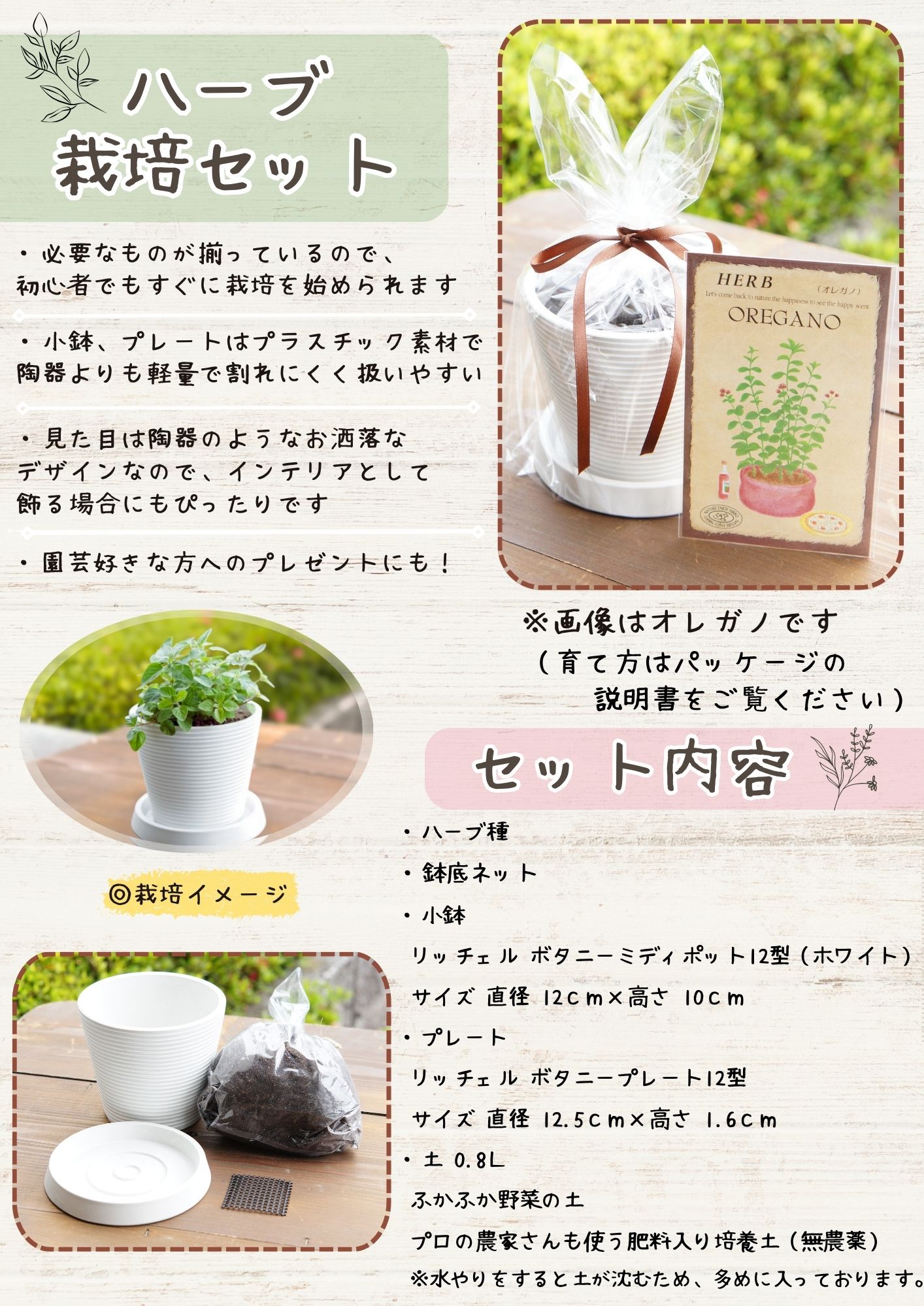 ハーブ栽培セット「ゴールデンパースレイン」 : 日光種苗ヤフー