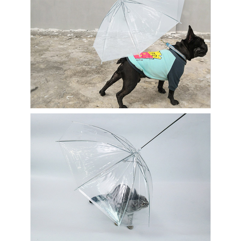 SALE／95%OFF】 ペットアンブレラ リード付き お散歩用傘 小型犬用