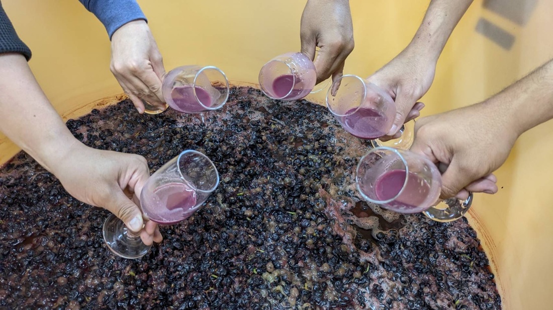 伊勢ワイン いせわいん 三重県 伊勢市