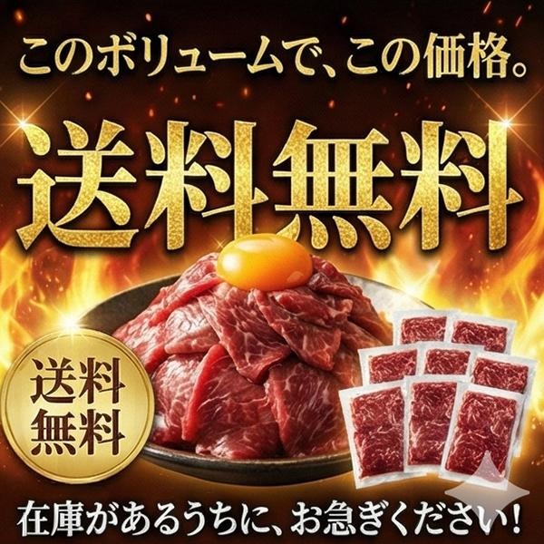 馬刺し 赤身 約1kg (約100g×10) 本場熊本加工 馬肉 ばさし 小分け