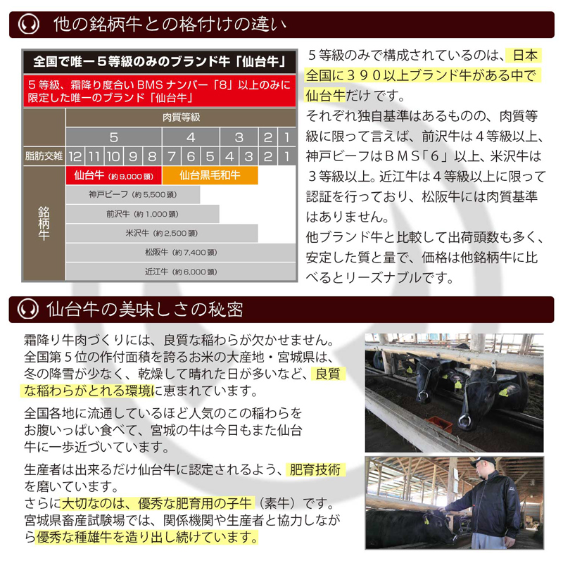 A5仙台牛旨とろ煮