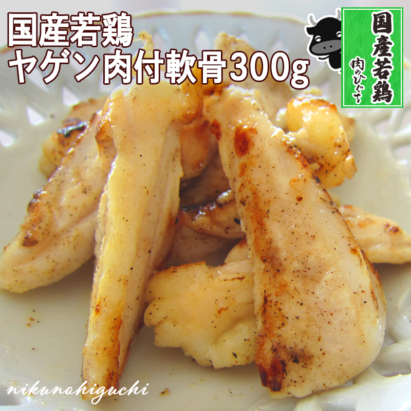 Y{ Qt  300 ē { RR o[xL[ Lv H Ƃ Ⓚ O  BBQ