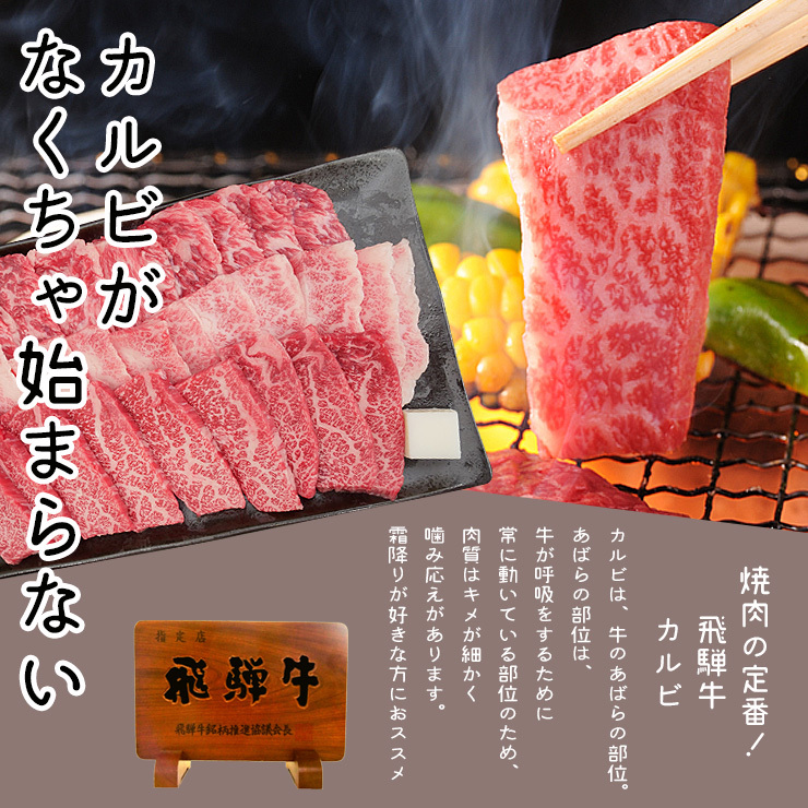 肉 福袋 牛肉 焼肉セット 飛騨牛 メガ盛り 1kg カルビ もも かた肉 赤身 約4〜5人 焼肉 焼き肉 黒毛和牛 バーベキュー バーベキューセット  お取り寄せグルメ