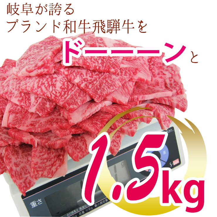 肉 和牛 牛肉 バーベキュー 焼肉 焼き肉 セット 飛騨牛 メガ盛 カルビ 1.5kg 約６〜7人 バーベキュー バーベキューセット 大容量 和牛  キャンプ 帰省土産 :mega-5:肉のひぐち - 通販 - Yahoo!ショッピング