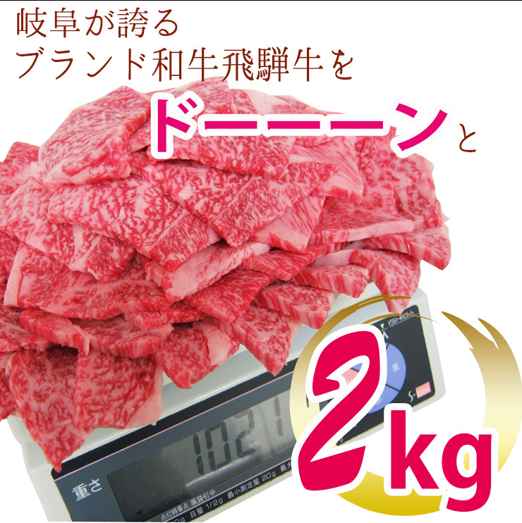 飛騨牛メガ盛