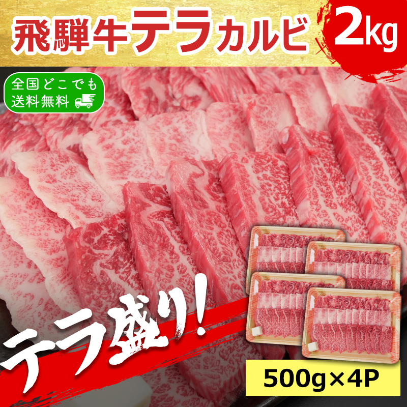 肉 焼肉 牛肉 飛騨牛 テラ盛 カルビ 2kg 約8人〜10人 牛肉 bbqセット 焼肉セット バーベキュー 焼肉セット バーベキューセット メガ盛 爆買