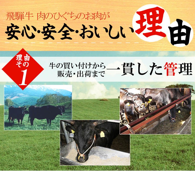 ひぐち理由１