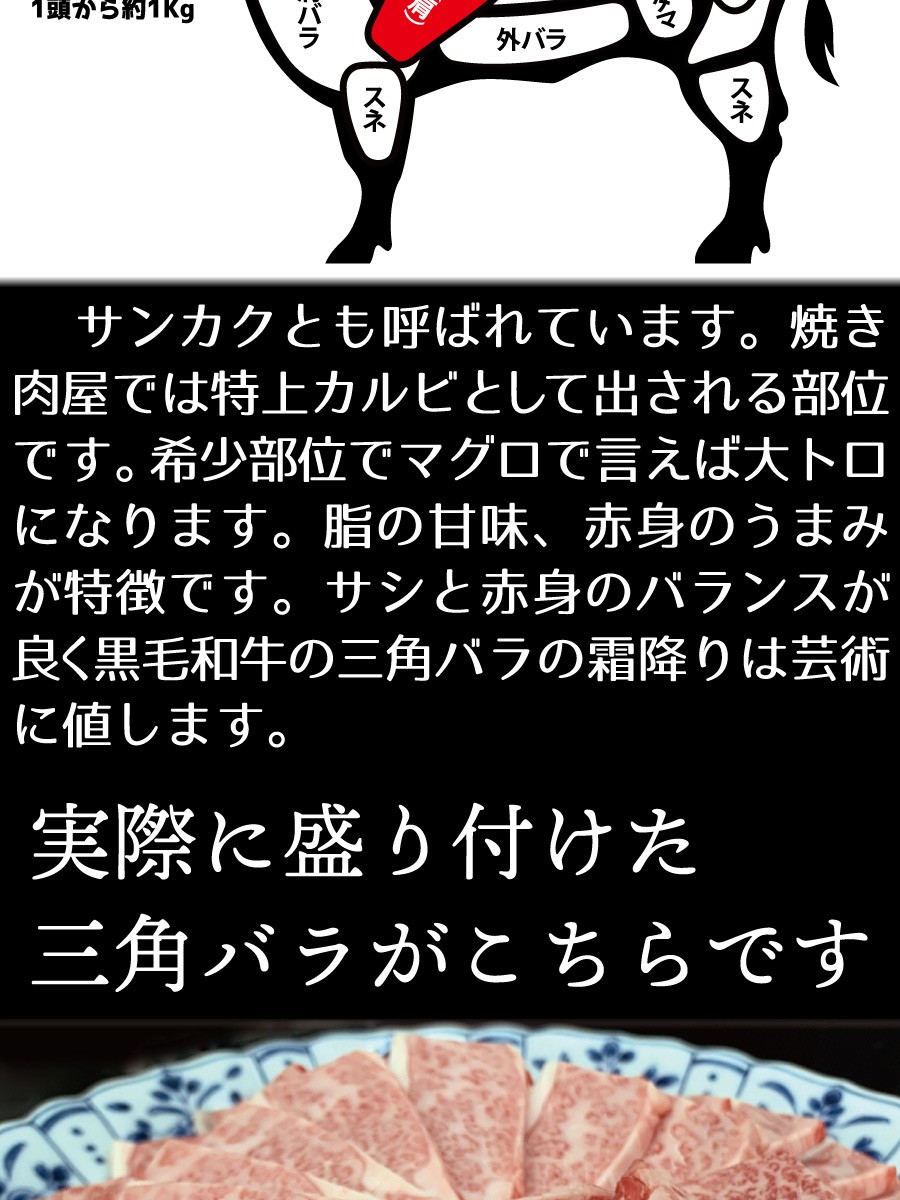 Yahoo!ショッピング - PayPayポイントがもらえる！ネット通販