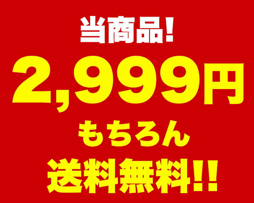 肉 牛肉 焼肉 焼き肉 焼き肉セット 送料無料 カルビ タレ漬け 御中元 焼肉プレート ギフト 焼肉グリル 海外輸入 父の日 1000g 500ｇ 2パック