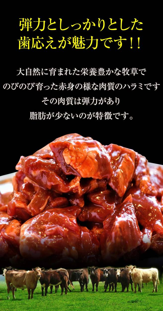 ハラミ 流行のアイテム 肉 牛肉 焼肉 牛ハラミ 1kg キャンプ 食品 秘伝タレ漬け 冷凍 訳あり 500g 2