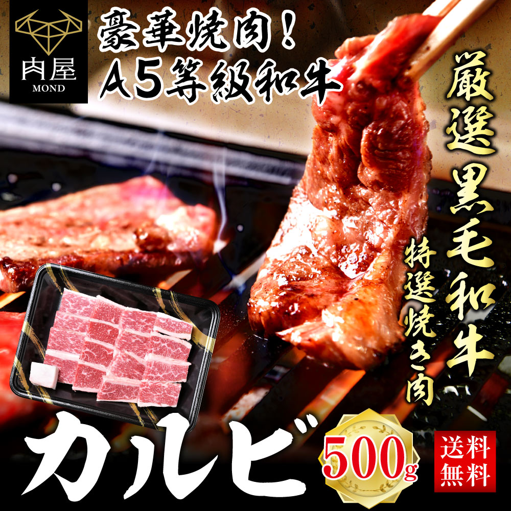 ブランド激安セール会場 半額 焼肉 肉 牛肉 和牛 A5等級 黒毛和牛 霜降りカルビ 500g お歳暮 2022 肉ギフト お取り寄せ グルメ nanaokazaki.com nanaokazaki.com