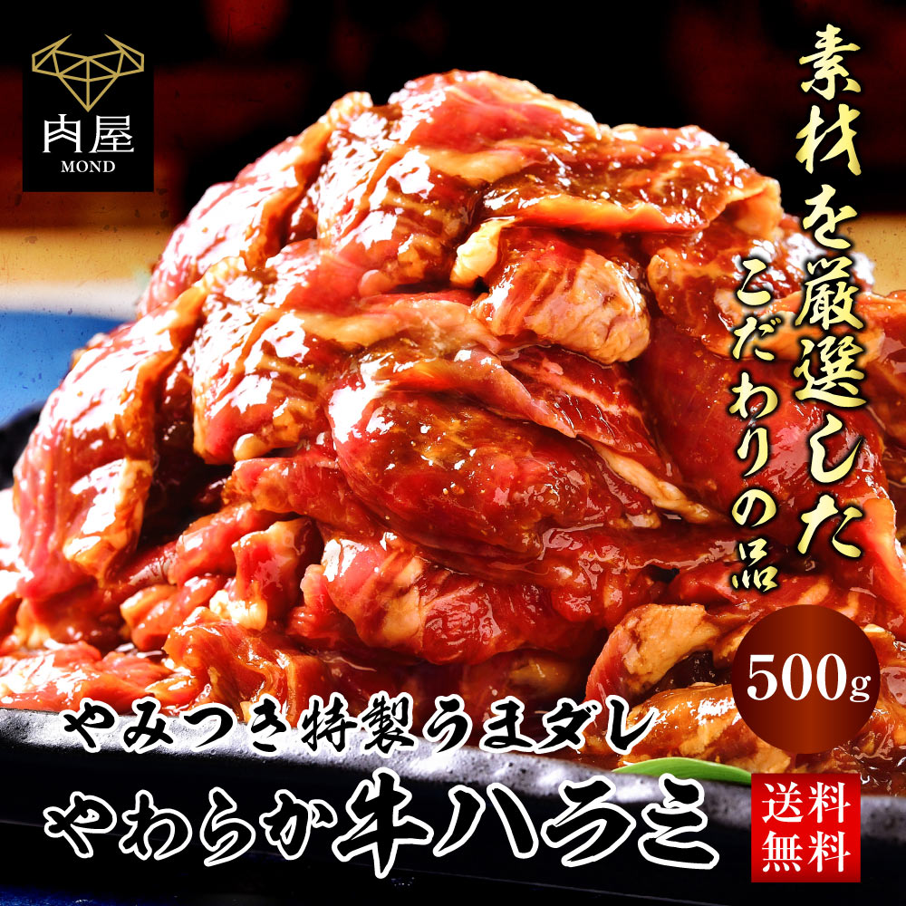 焼肉 牛肉 父の日 ハラミ やわらか メガ盛り 500g 肉 大容量 焼肉セット バーベキュー｜nikuya-mond