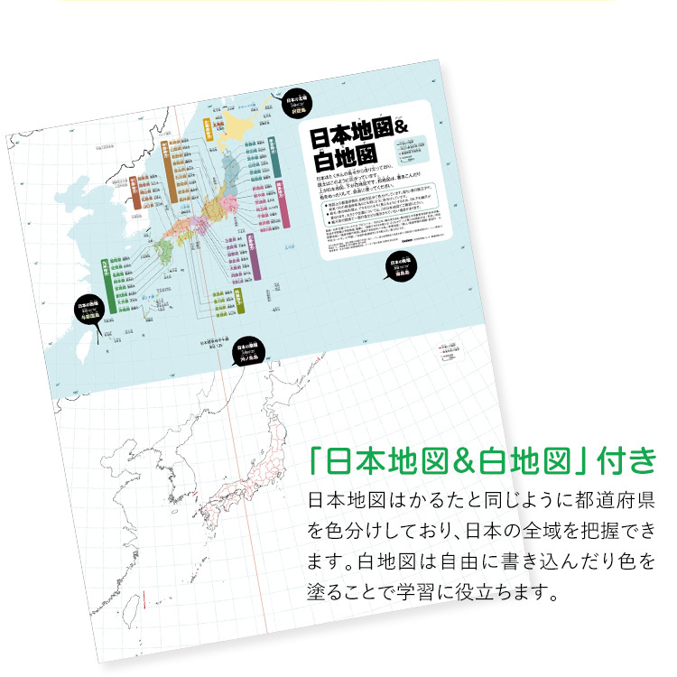 送料無料 新品 都道府県かるた 学研ステイフル 脳トレ ギフト パーティー 知育玩具 学習 都道府県 Riosmauricio Com