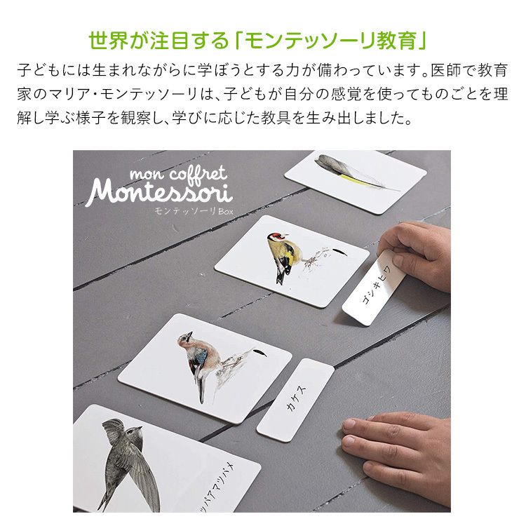 教育解説書
