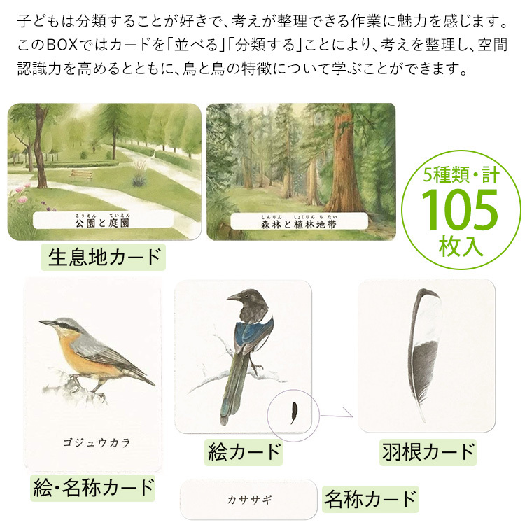 学研ステイフル 学研 モンテッソーリ BOX とり 鳥 教具 知育玩具 3歳 4